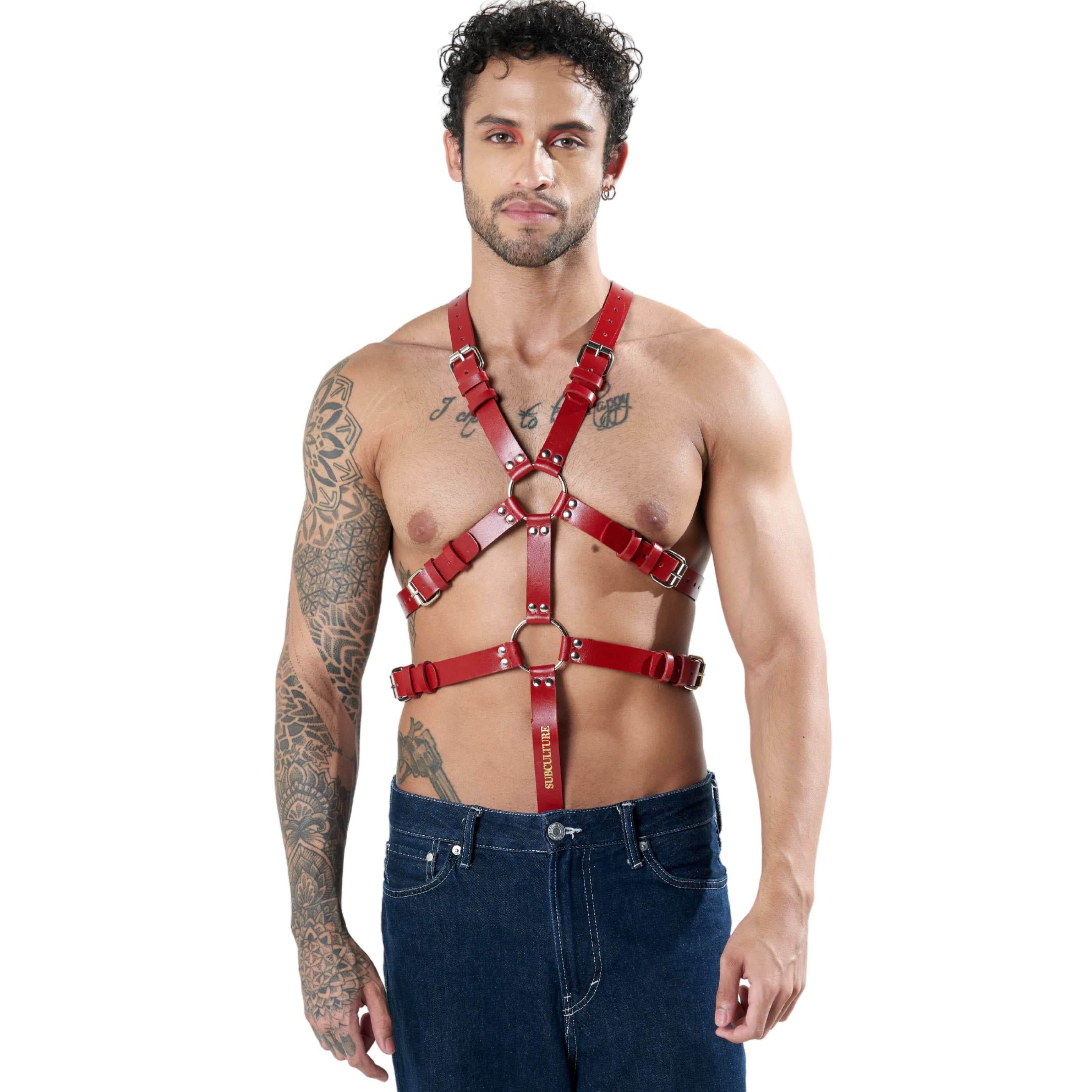 Kevin Body Harness with C Ring - Image 4