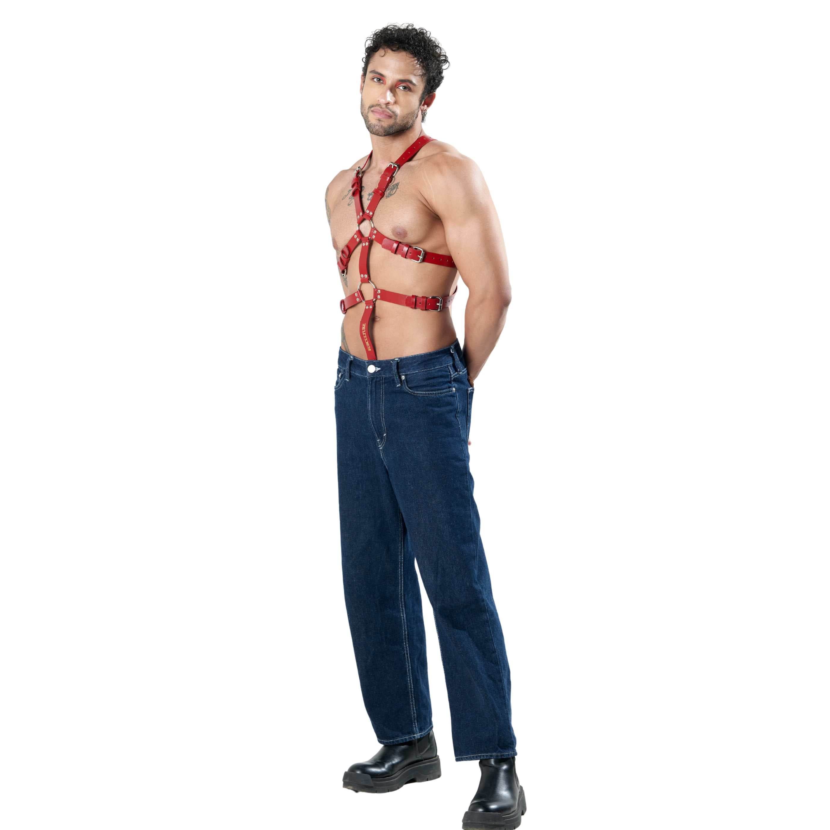 Kevin Body Harness with C Ring - Image 7
