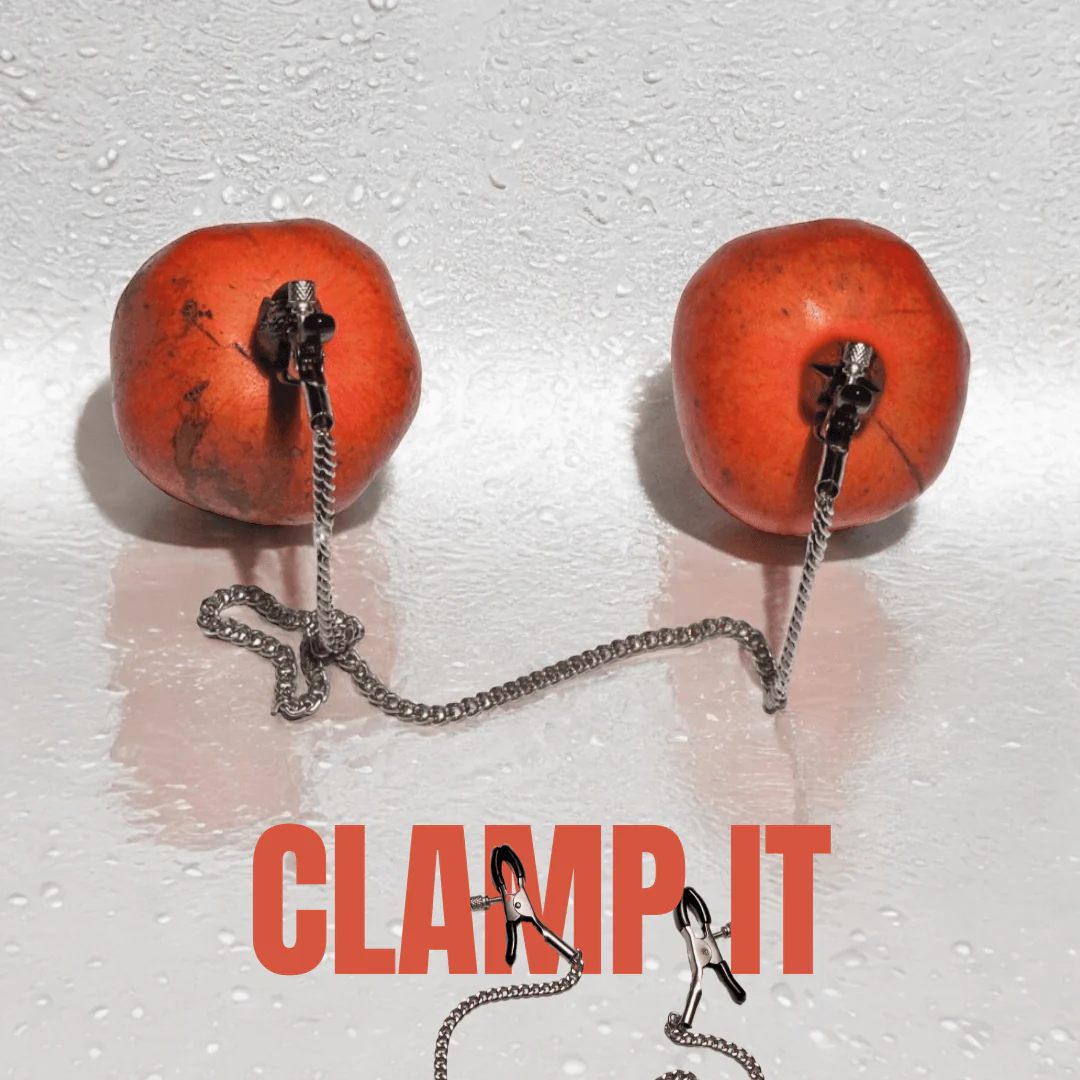 Nipple Clamps - Image 4